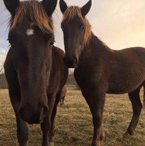 Meet your Posher, Casey